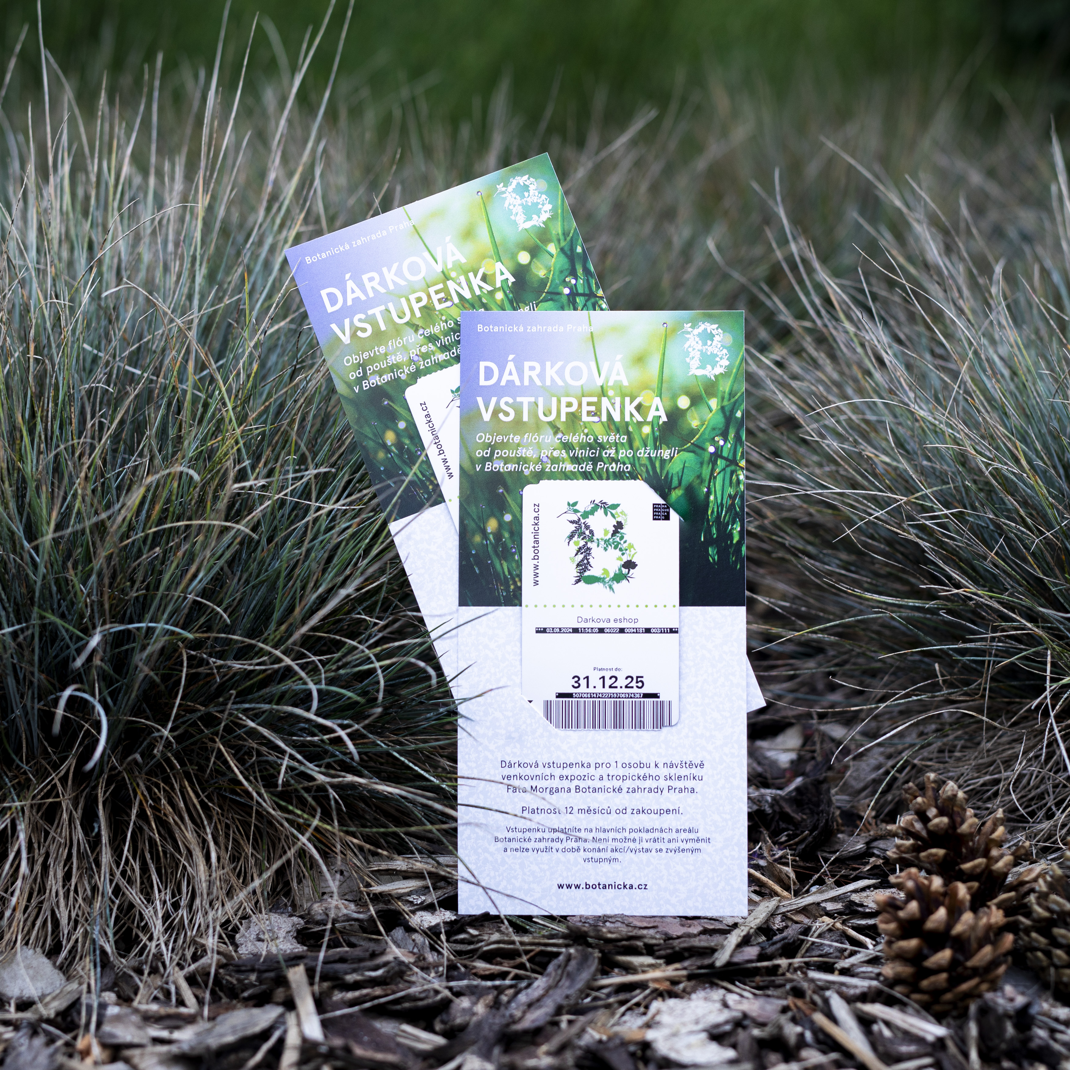 0bc8ac2f48aa85999a942ae8c2c44db113ac92c1