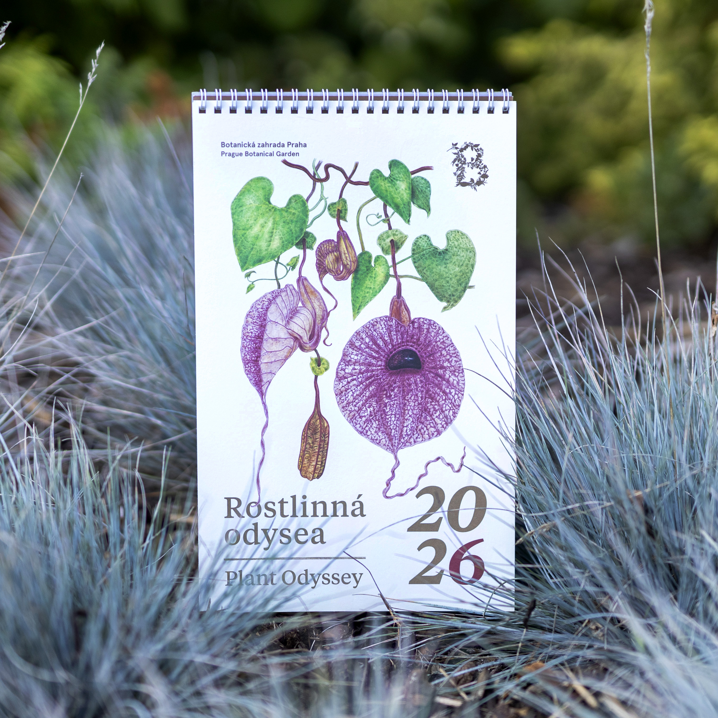 20cc4ea867624f79b68f62d571d28f6e5800aab7