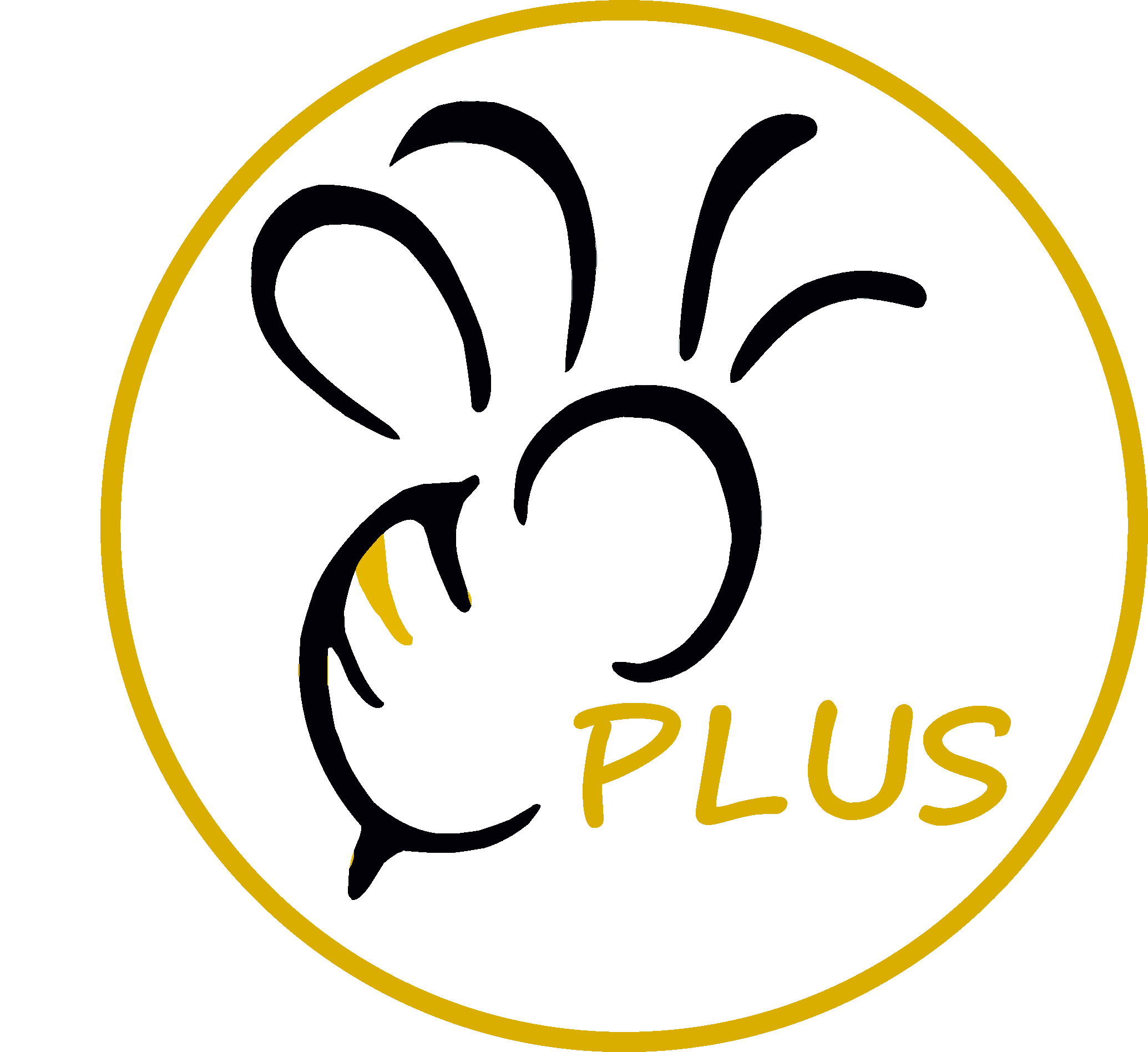 CMELACI-PLUS-LOGO