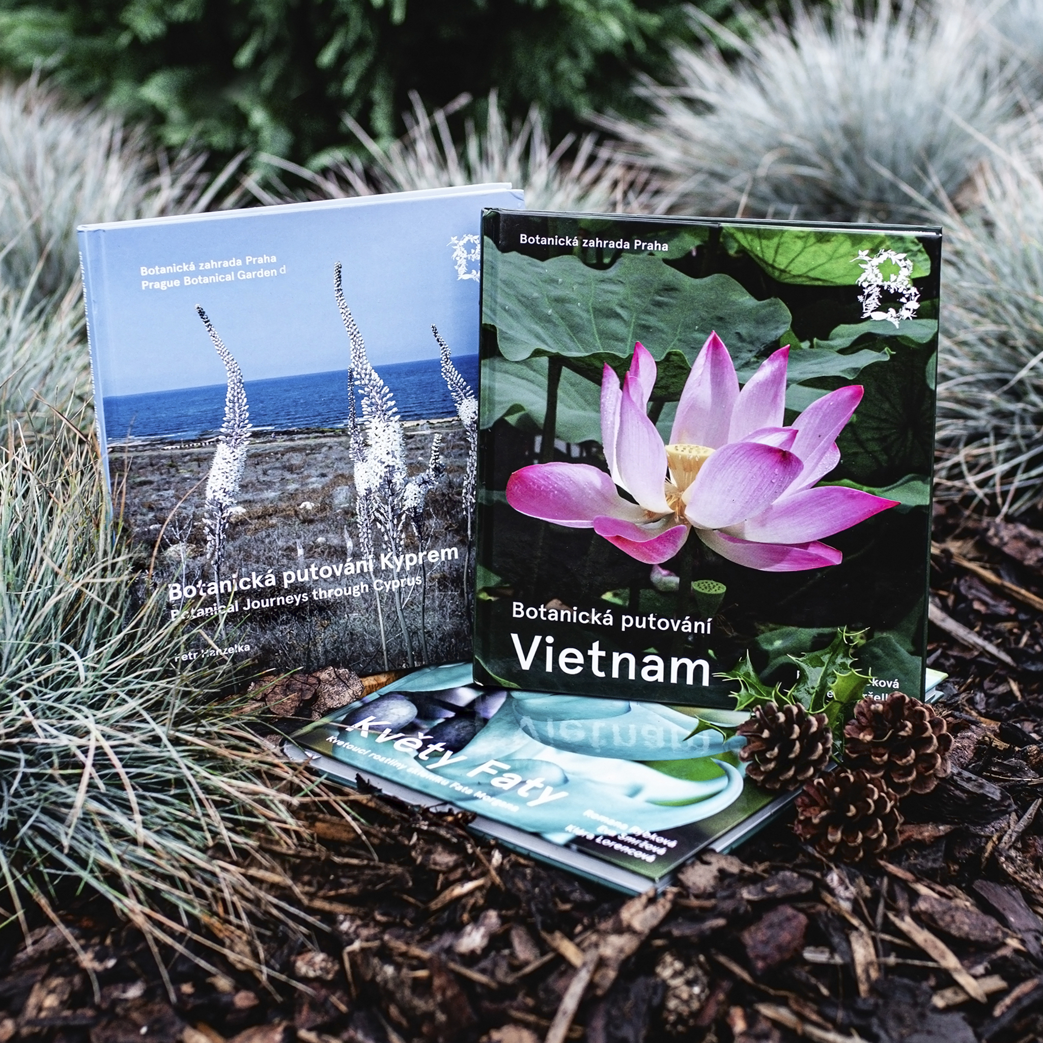 Kvety_Faty_kypr_vietnam
