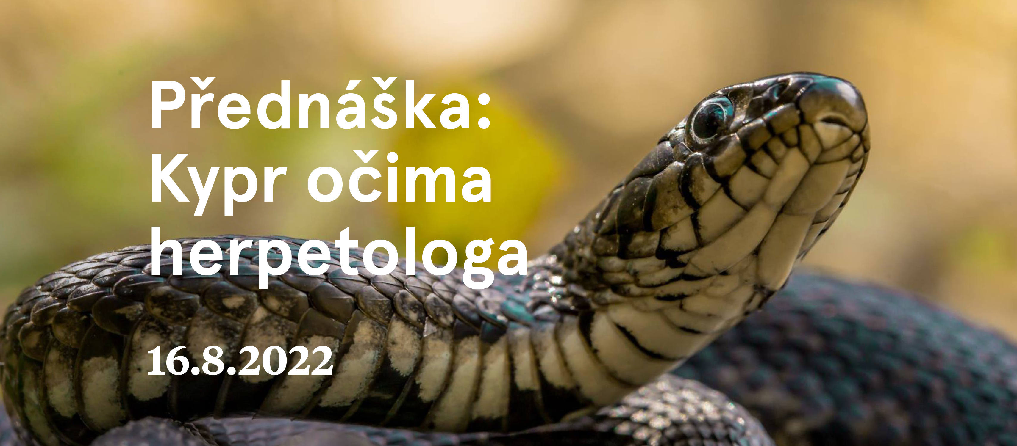 Kypr-ocima-herpetologa_BANNER-FB_a