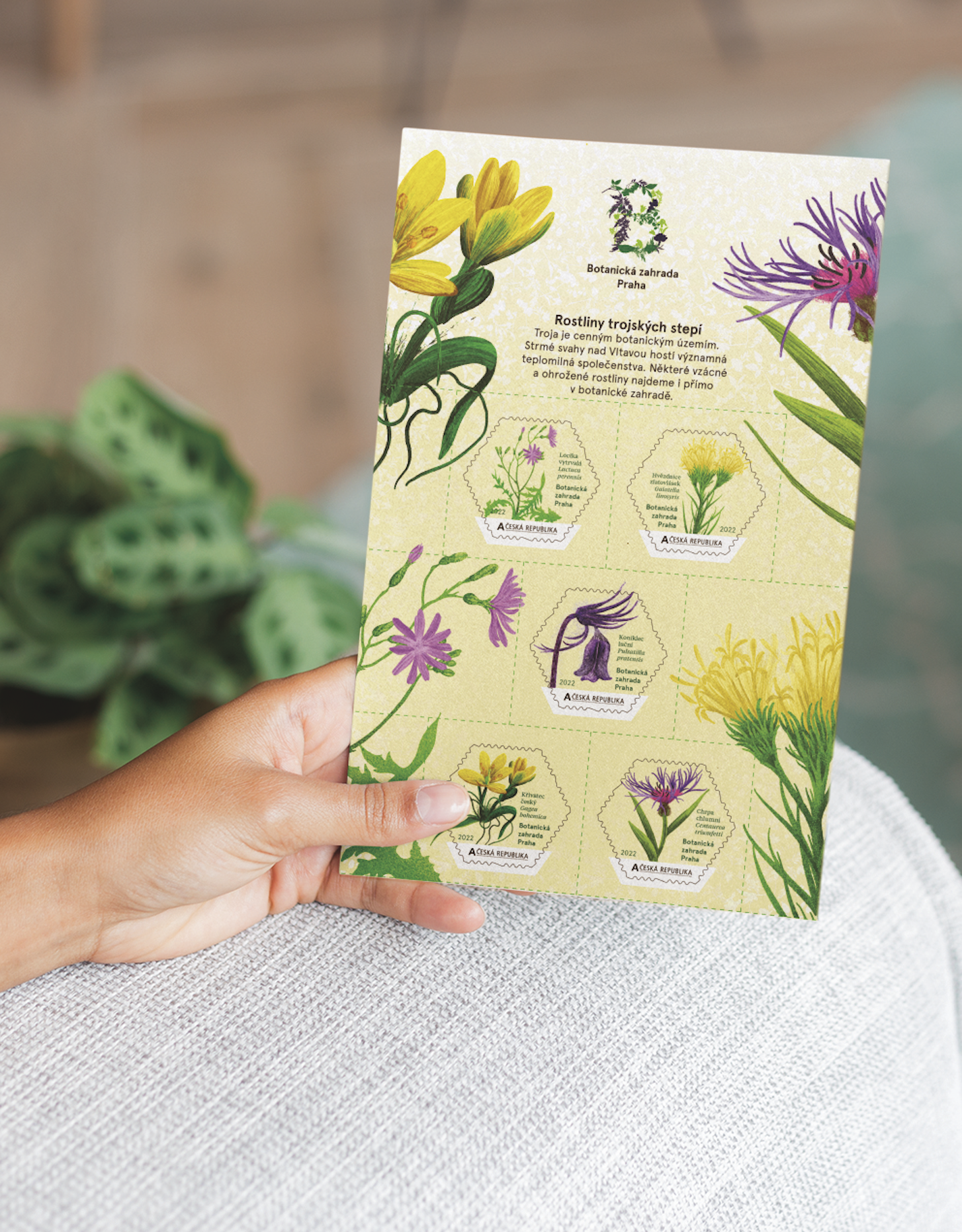 Snimek-obrazovky-2025-10-27-v13.49.41