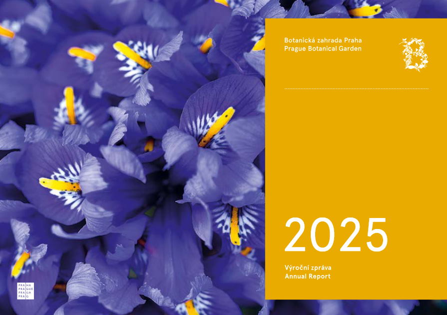 Snimek-obrazovky-2026-03-18-135621