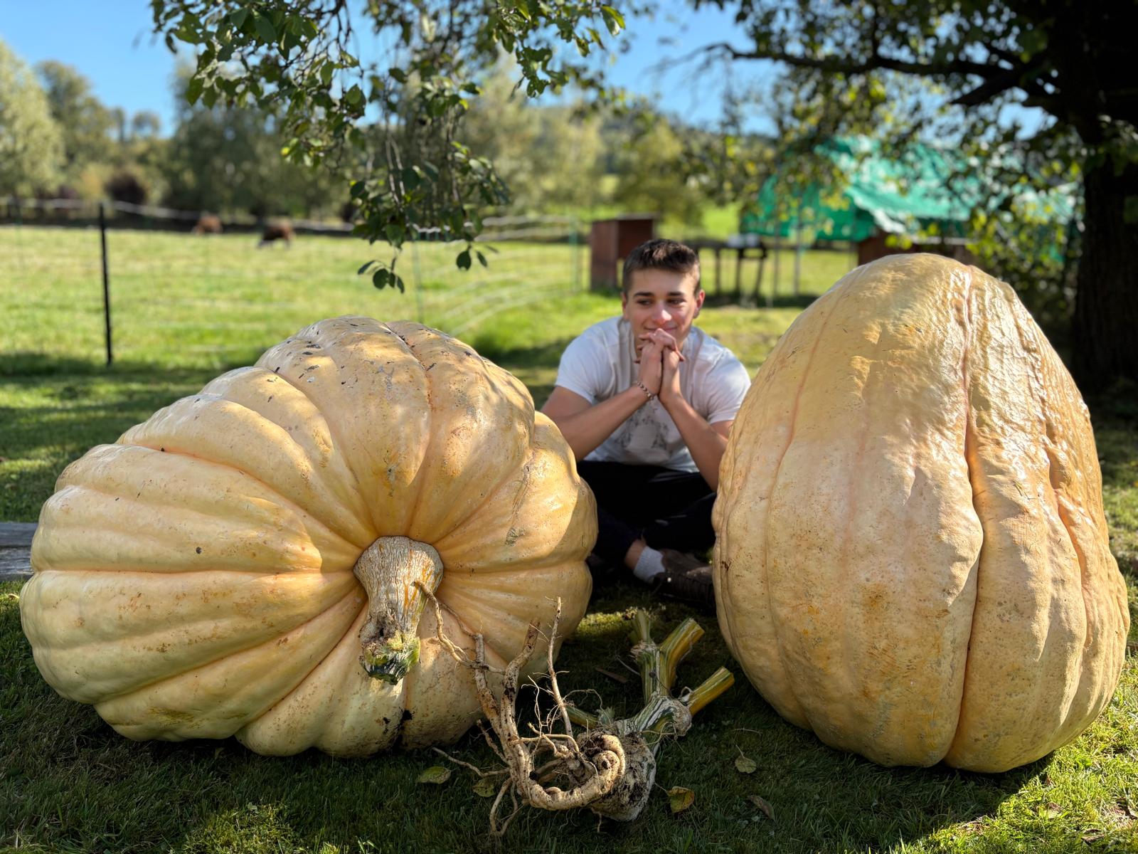 WhatsApp-Image-2025-10-25-at-19.44.10