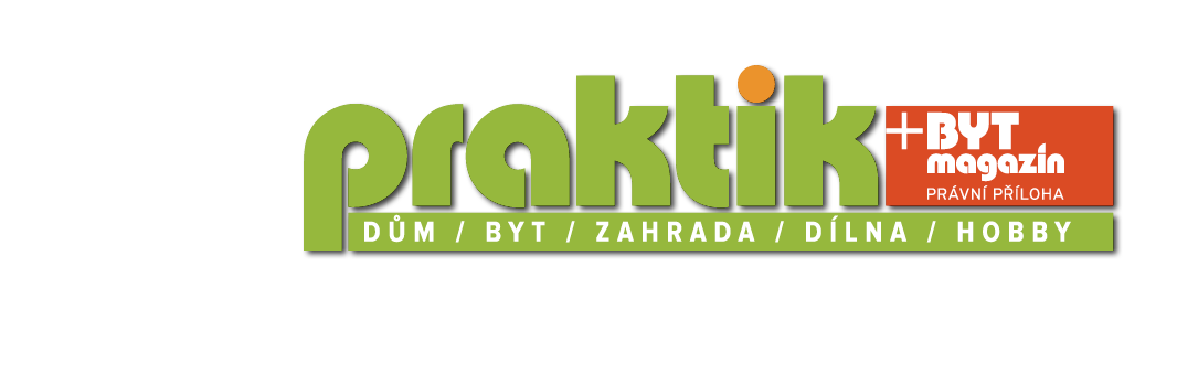 PRAKTIK_logo_vetsi