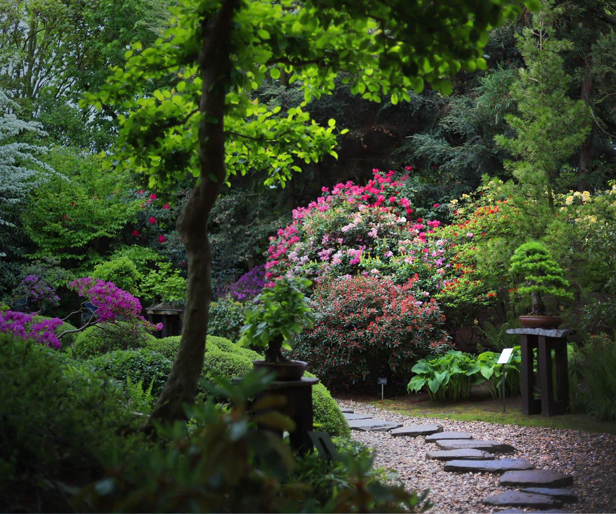 banner-300x250px2