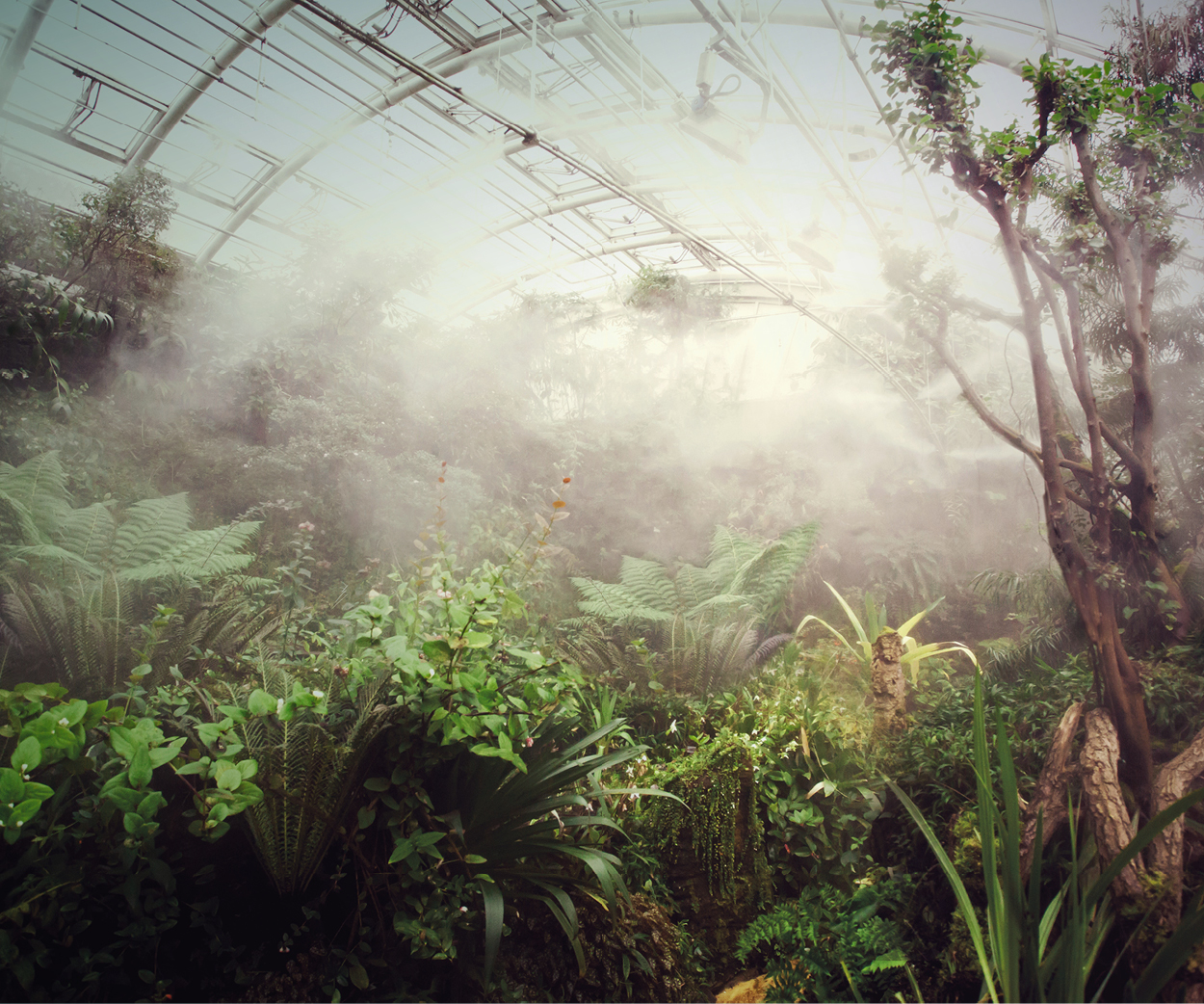 banner-300x250px4