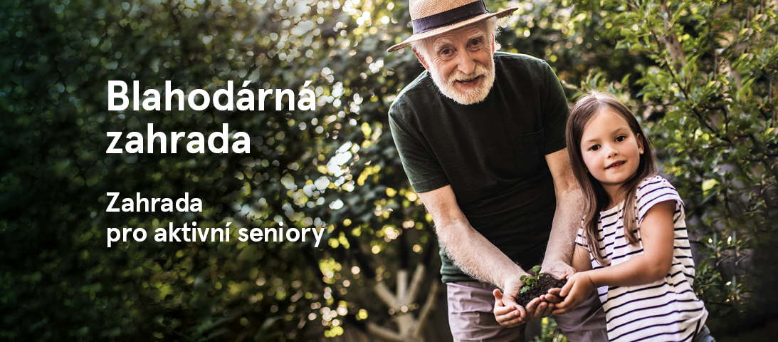 fb_facebook-SENIORI