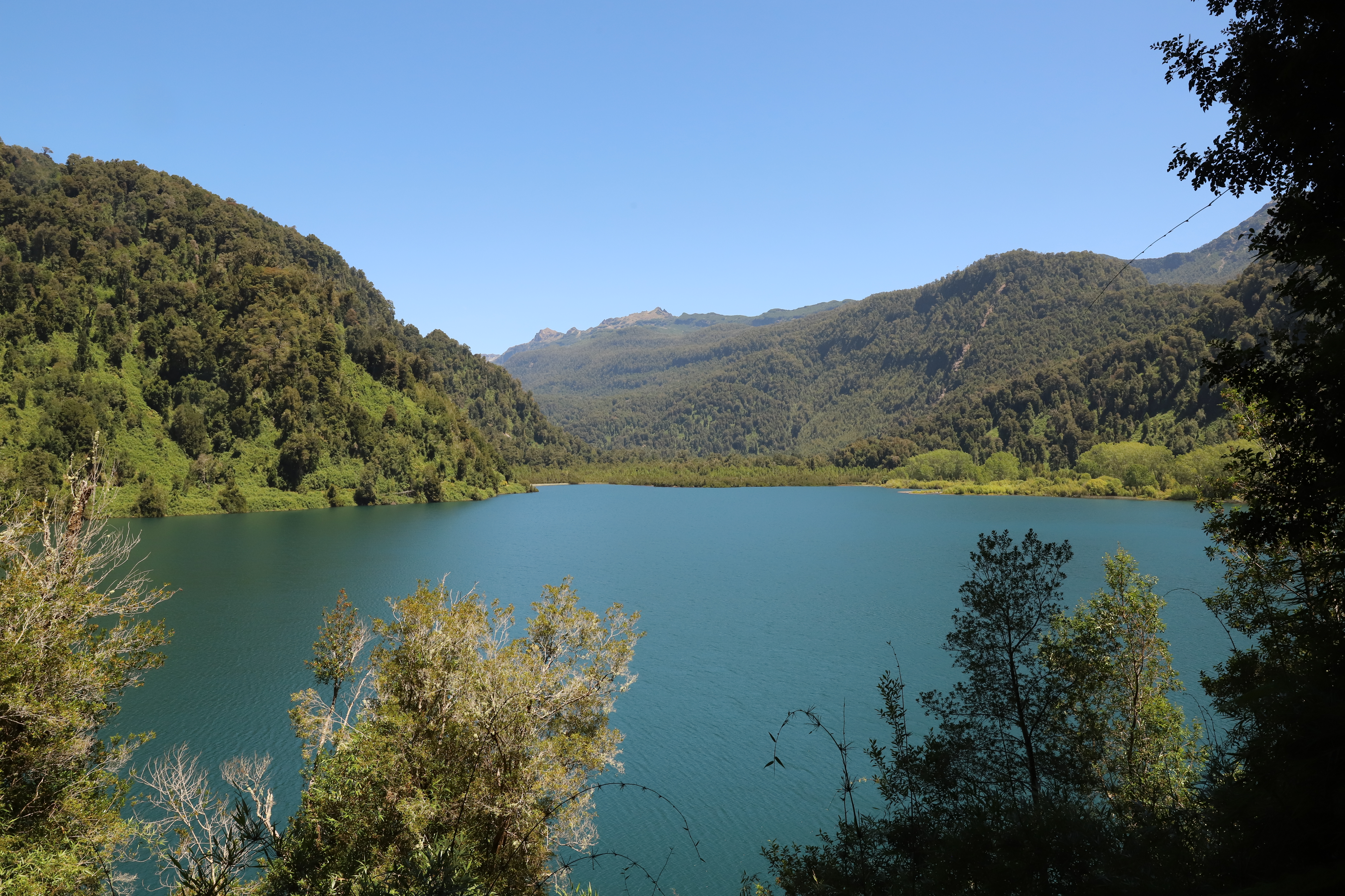 jezero-v-NP-Alerces-Andino