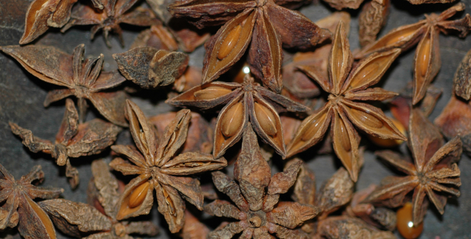 Vánoční pečení očima botaničky