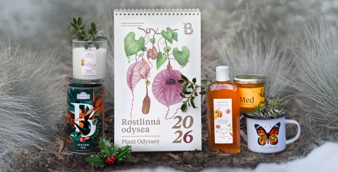 Rozkvetlé Vánoce s Botanickou