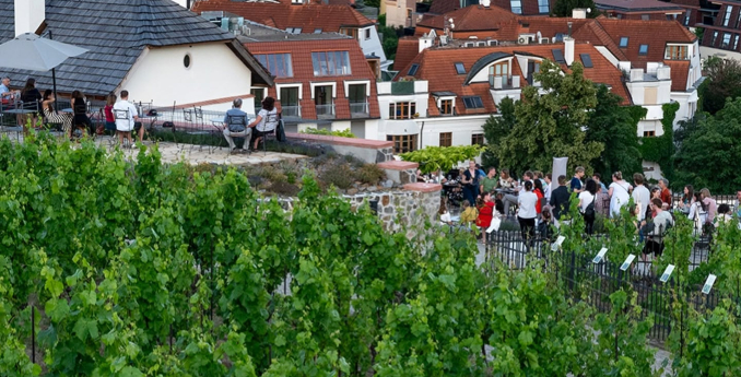 Cimbálka a víno ve Vinotéce sv. Kláry
