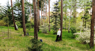 WORKSHOP LESNÍ MYSLI – Finský koncept seberozvoje a sebepéče