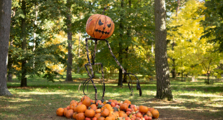 VÝSTAVA DÝNÍ – Strašidelný les: dýňová aranžmá, workshopy i oslavy Halloweenu