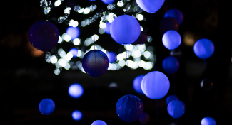 Komentované prohlídky Křišťálovou zahradou