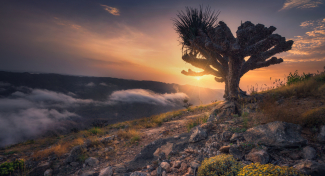 PŘEDNÁŠKOVÝ CYKLUS – Od arménských stepí přes Šumavu až na Sokotru