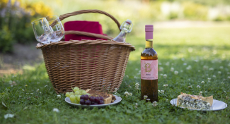 CLAIRE HAS A NAME DAY | Cheers for a picnic!