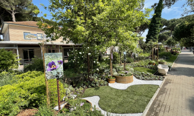 Pro dosažení lučního vzhledu jsme do zahradní kompozice vysadili 500 rostlin v pastelových barvách s velkým podílem trav a aromatických bylin, které kontrastují s plochami šedivého štěrku

