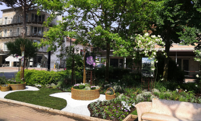 Pro dosažení lučního vzhledu jsme do zahradní kompozice vysadili 500 rostlin v pastelových barvách s velkým podílem trav a aromatických bylin, které kontrastují s plochami šedivého štěrku

