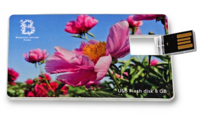 8 GB USB Flash disk - 249 Kč.