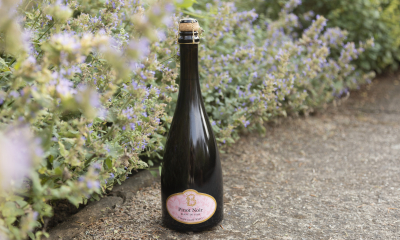 	pinot noir_blanc de noir