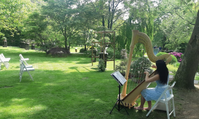 Harfistka v japonské zahradě