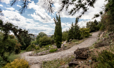 Mediterranean exposition in our botanical garden