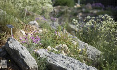 Expozice Archa Bohemica