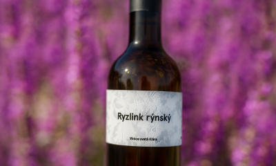 Ryzlink rýnský 2019, bílé, polosuché. Nenechte se zmást zbytkovým cukrem. Ač už spadá do kategorie polosladké, vysoká kyselina z něj dělá kousek pro drsné muže a ještě drsnější ženy. Aromatika je typická pro české Ryzlinky – limetová kůra, pomelo, vyzrálá hruška. Vyzkoušejte ho ke škvarkové pomazánce nebo tučným sýrovým pokrmům. Cena 250 Kč.