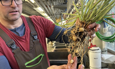 O sbírku tykvovitých se staráme také v zázemí naší botanické zahrady - na fotografii zahradník a autor článku Martin Spousta. 