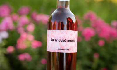 Rulandské modré rosé 2019, polosuché. Klasická ušlechtilá odrůda ve svěží a odlehčené podobě. Cena 250 Kč.
