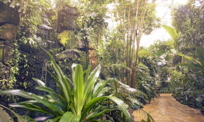 Vodopád v tropickém skleníku Fata Morgana