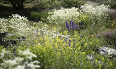Expozice Archa Bohemica v Botanické zahradě Praha