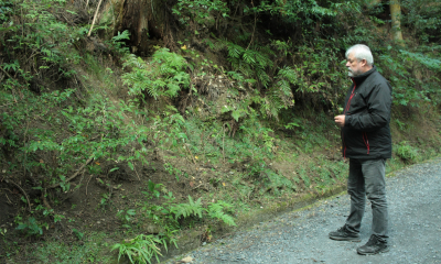 Zkoumání druhové skladby v japonském lese