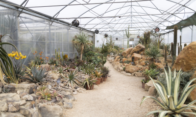 Expozice Svět sukulentů