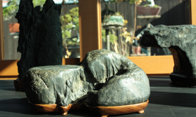 Krásné kameny – suiseki v miskách