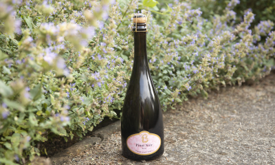 	pinot noir rose