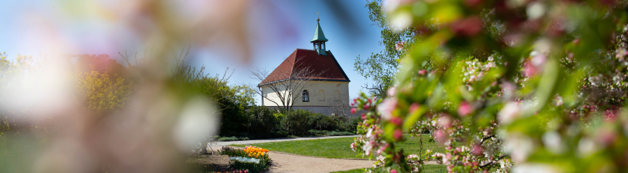Venkovní expozice